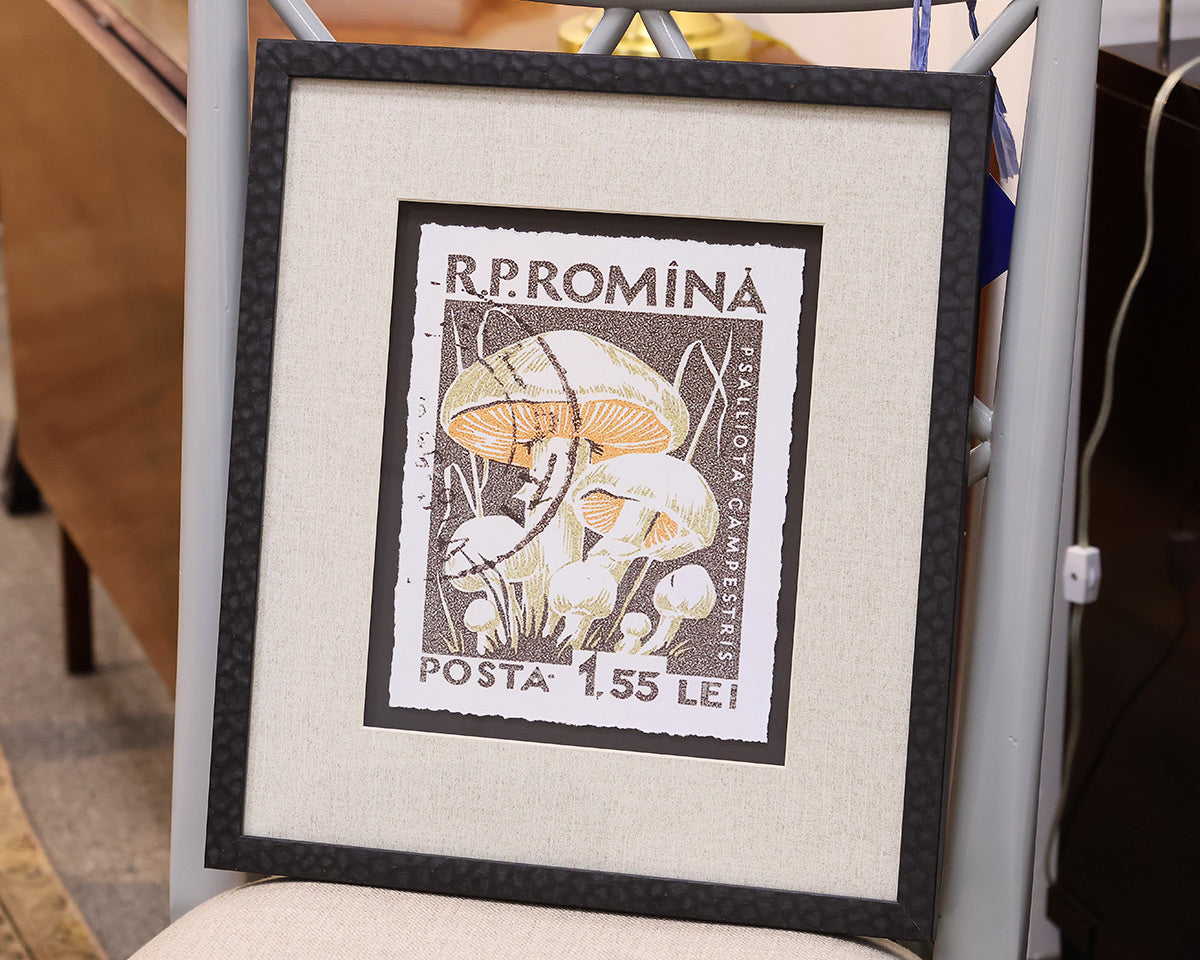 "Vintage Stamp II C" Matted Print in Textured Black Frame