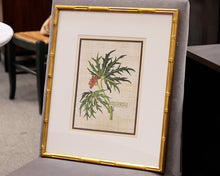 Antique Botanica II 2/4