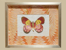 "Flight Pattern I" Handpainted Butterfly in Silver Shaddowbox Frame