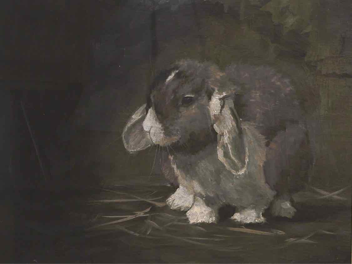 Framed Print; Resting Bunny; 3/4