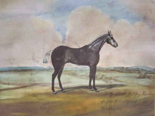 'Equestrian II' Framed Print