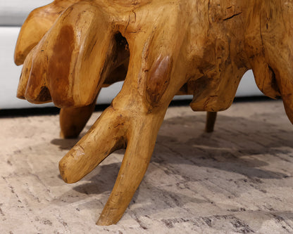Teak Root Coffee Table