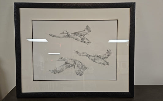 'Mallard Duck Sketch I' Flock of Ducks Wall Decor in Espresso Frame