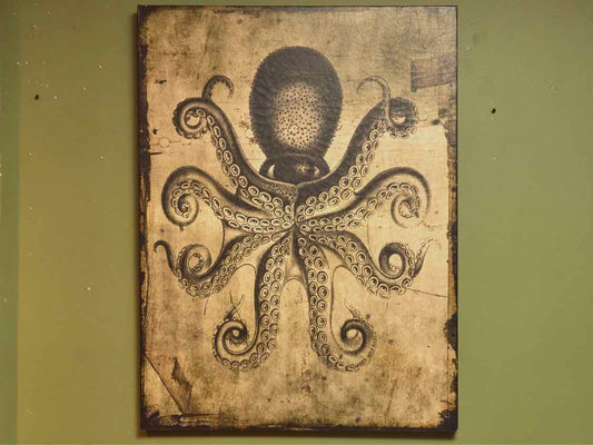 Octopus Print On Canvas