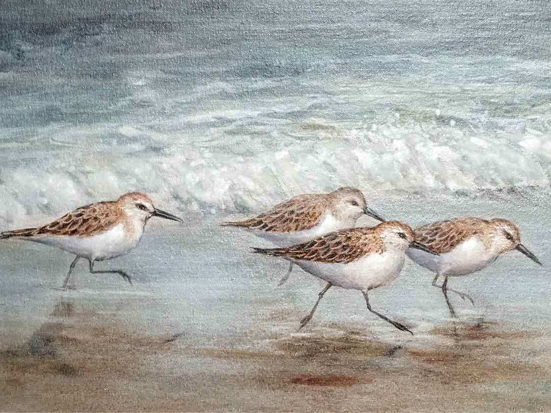 Textured Print 'Beach Buddies'i in  Shiplap Style  Frame
