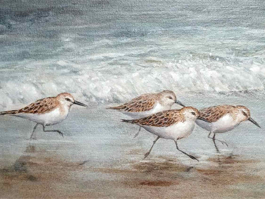 Textured Print 'Beach Buddies'i in  Shiplap Style  Frame