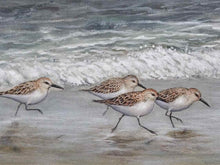 'Beach Buddies' Print in Shiplap and Natural Frame