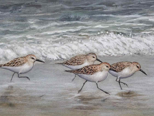 'Beach Buddies' Print in Shiplap and Natural Frame