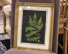 Matted Fern II Print in Wood Frame