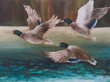 Framed Giclee 'Mallard Flight'