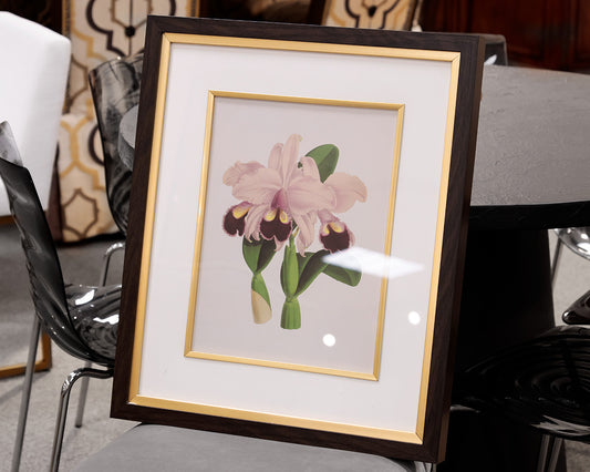 Orchid Botanical Framed Print VI