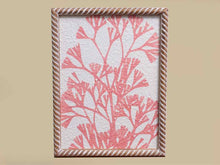 Coral Print On Rice Paper In Wooden Frame