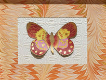 "Flight Pattern I" Handpainted Butterfly in Silver Shaddowbox Frame