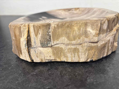 Petrified Wood Decorative Tray