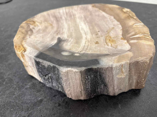 Petrified Wood Decorative Tray