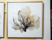'Ocean's Flower  II'  Watercolor Print In Antique Finish Siver Finish Frame