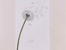 "Dandelion 1" Matted Print in Silver Beaded Frame
