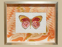 "Flight Pattern II" Handpainted Butterfly in Silver Shaddowbox Frame