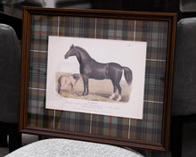 Vintage Horse Bookplate IV