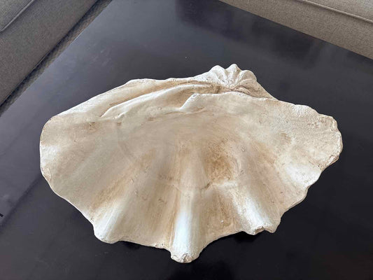 Giant Resin Clam Shell
