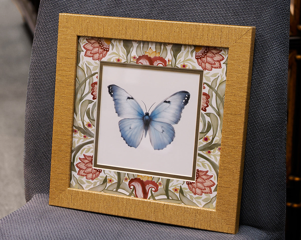 Baroque Butterfly 2/4