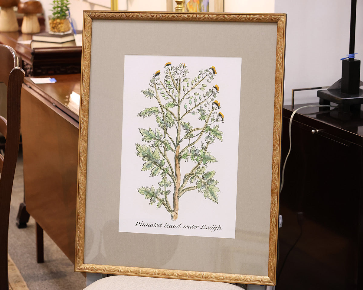 "Botanical Plants II" Premium Matted Print in Distressed Gold Frame
