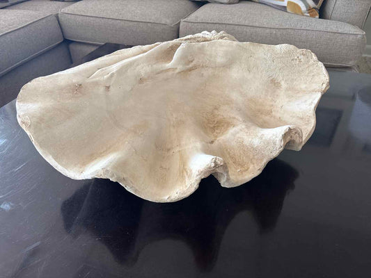 Giant Resin Clam Shell