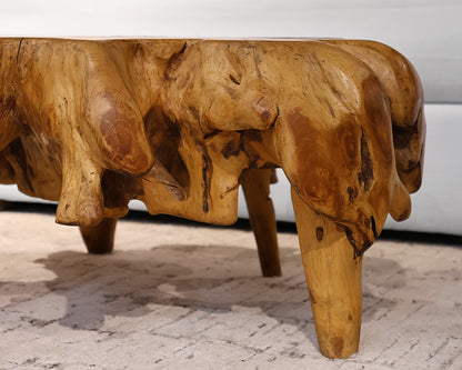Teak Root Coffee Table