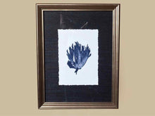 Coral Art Print On Grasscloth Driftwood Finish Frame III