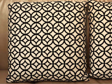 Pair of Black Velvet & White Accent Pillows