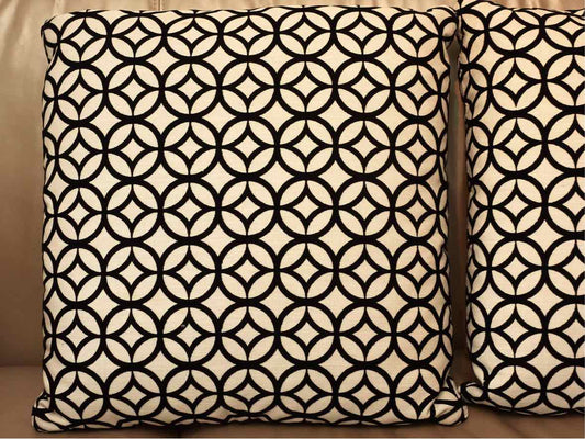 Pair of Black Velvet & White Accent Pillows