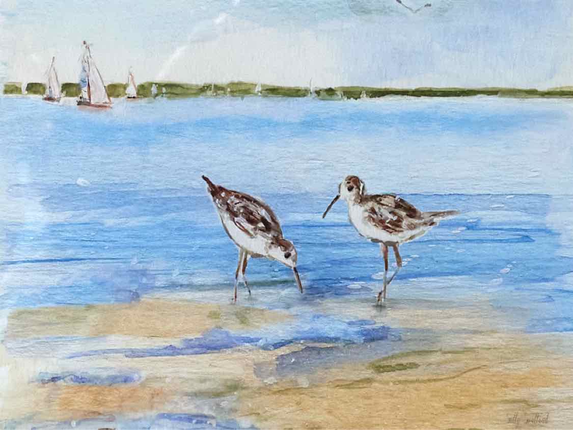 'Sandpiper Beach I' Watercolor Print Doublre Matted Driftwood Frame