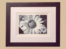 Black & White Photograph 'Daisy' By Kim Cetrine In Black Frame