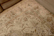 Safavieh 'Iasbella' Made In Turkey In Cream/ Beige / Gray Area Rug