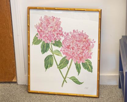 'Hydrangea Blooms' Framed Print 2