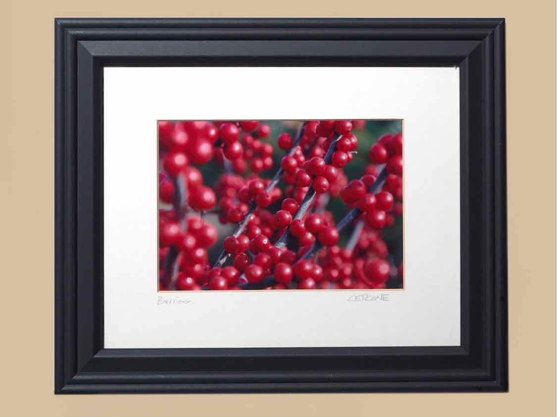 'Winter Berries'  Kim Cetrine Photograph Framed In Black Frame
