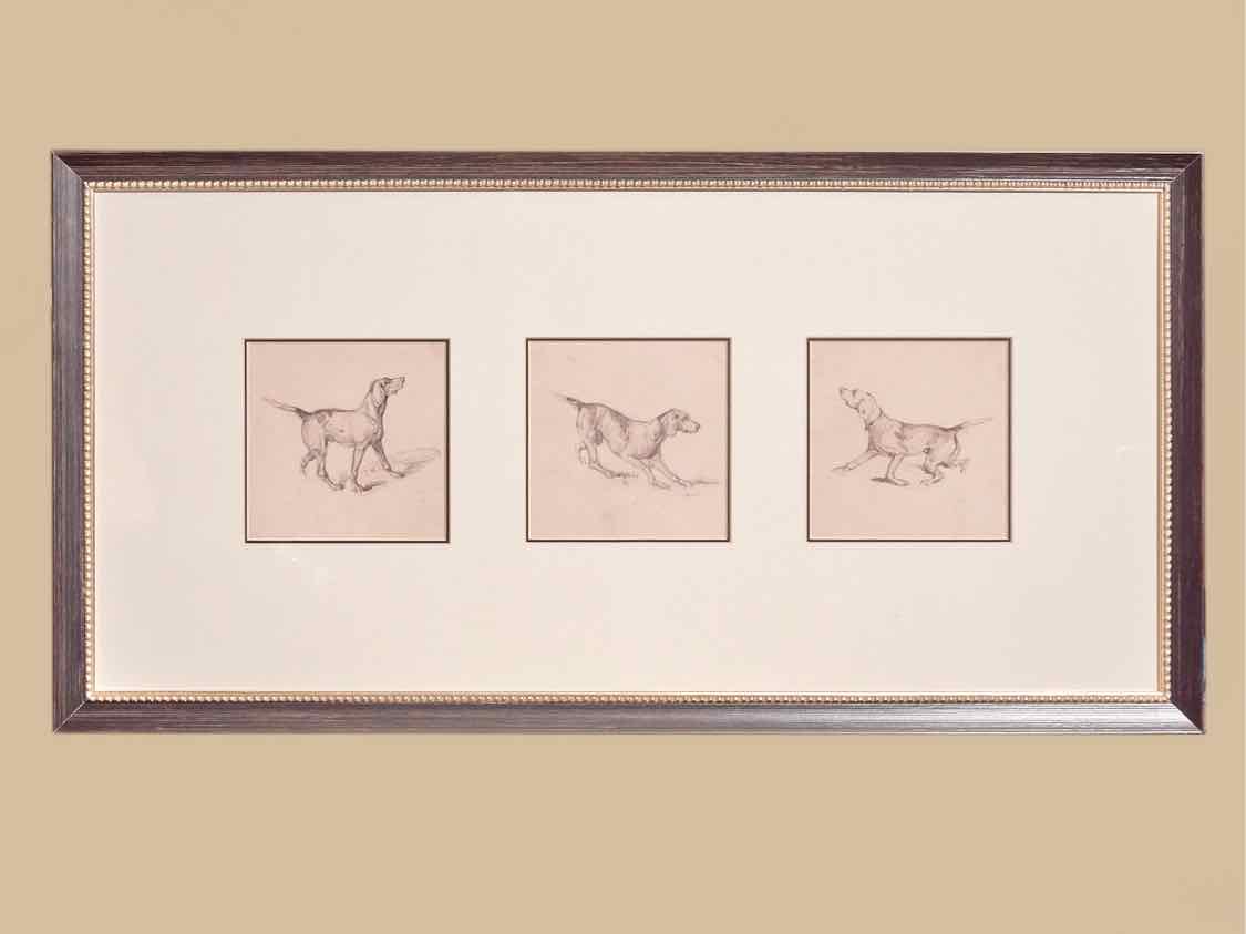 'French Pointer Series' Framed Print