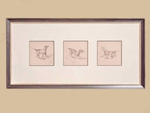 'French Pointer Series' Framed Print