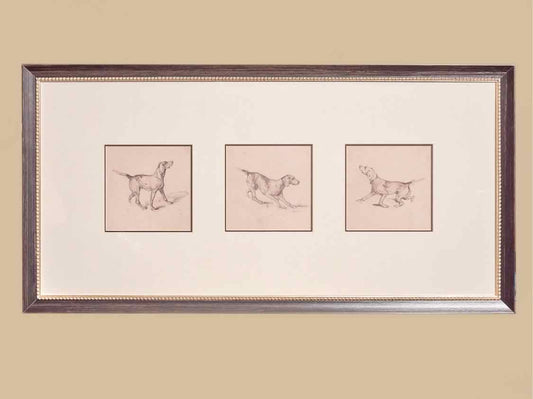 'French Pointer Series' Framed Print