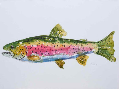 Framed Giclee:  "Colorful Trout I"
