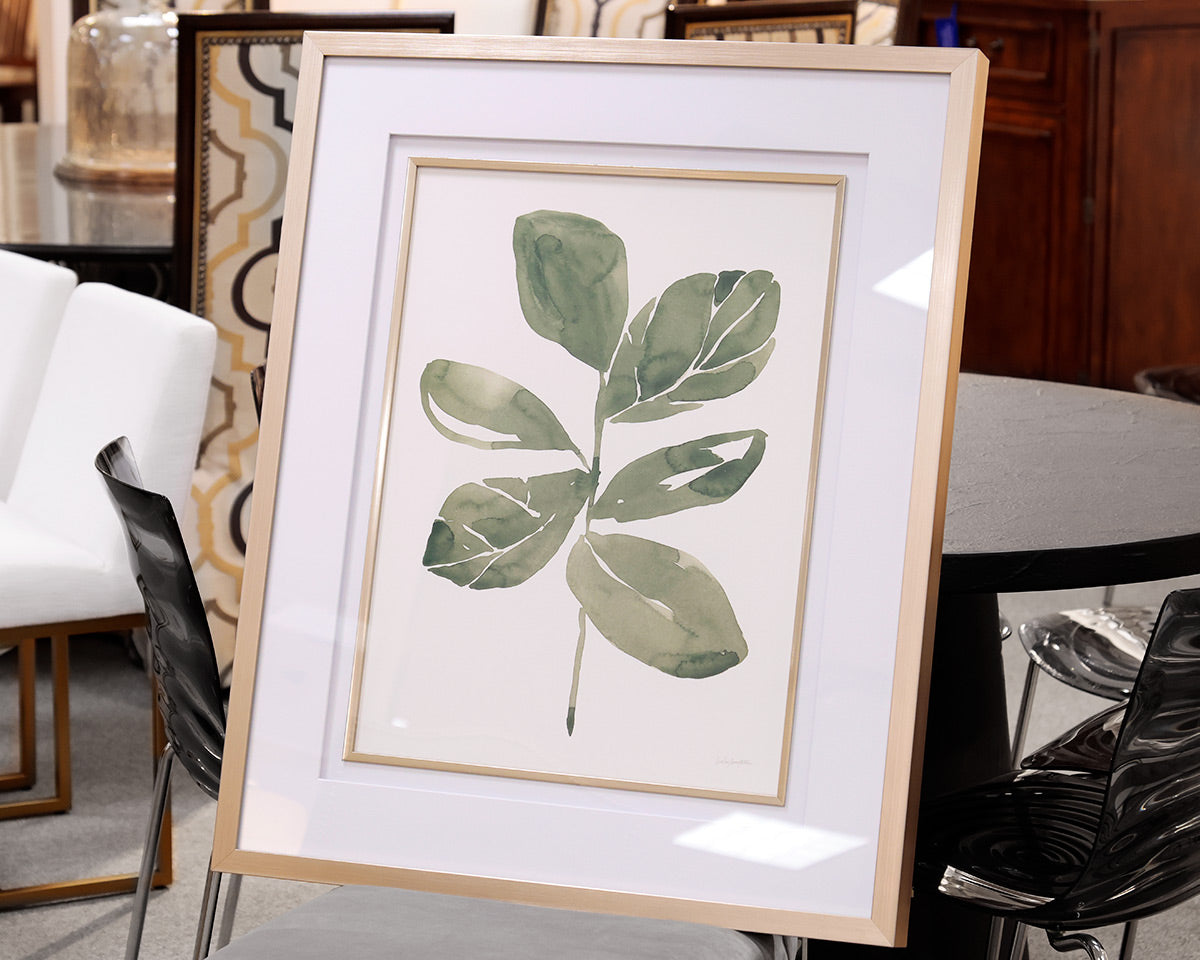 Fiddle Head Leaf Framed Print I