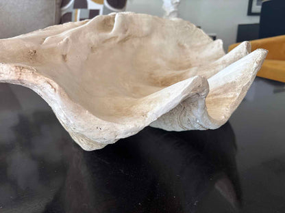 Giant Resin Clam Shell