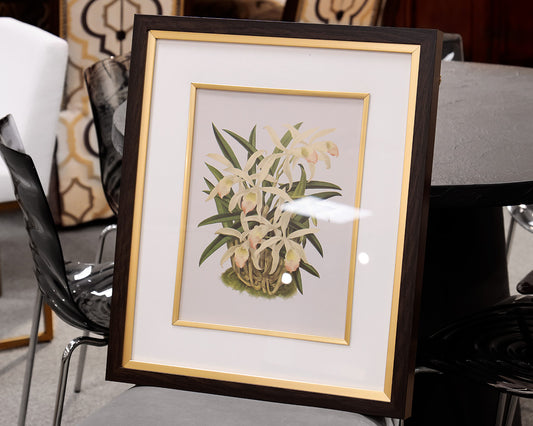 Orchid Botanical Framed Print IV