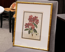 Antique Botanica II 3/4