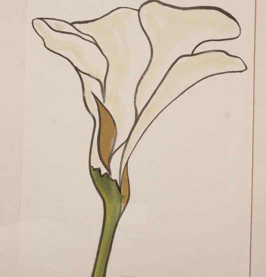 Floating Watercolor Of A Calla Lily In Brushed Silver Frame
