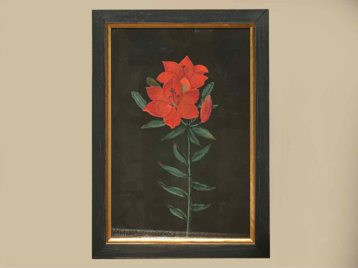 Framed Giclee 'Red Flowers at Midnight IV'