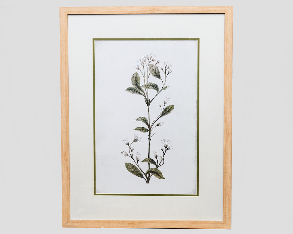 Wall Decor