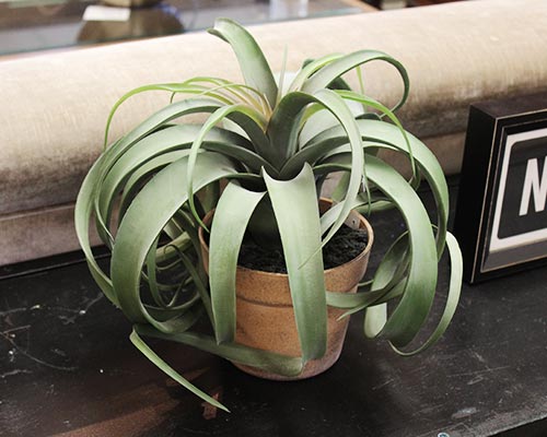 Decor - Artificial Airplant in a Pot