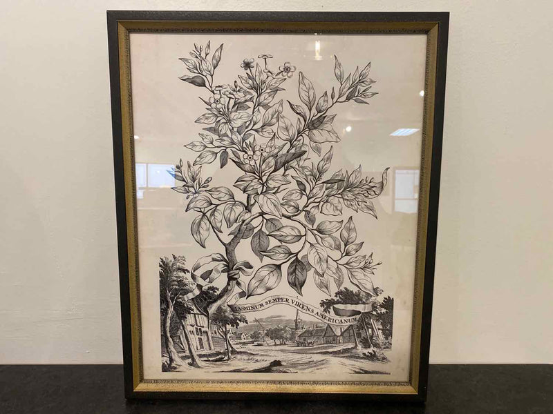 Framed Print: "Botanicals I B"