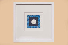 Sand DollarII  In White Shadow Box Frame With Triple Matt